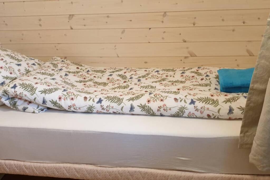 Nydelig Hytte I Kabelvag Lofoten Kültér fotó