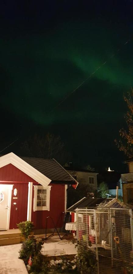 Nydelig Hytte I Kabelvag Lofoten Kültér fotó